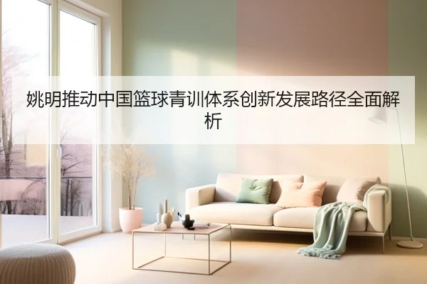 姚明推动中国篮球青训体系创新发展路径全面解析
